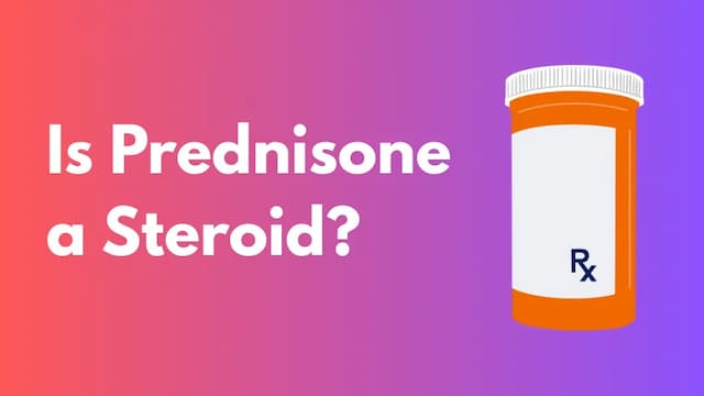 Is Prednisone a Steroid?