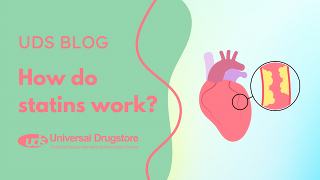 How do statins work?