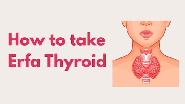 How to take erfa thyroid?