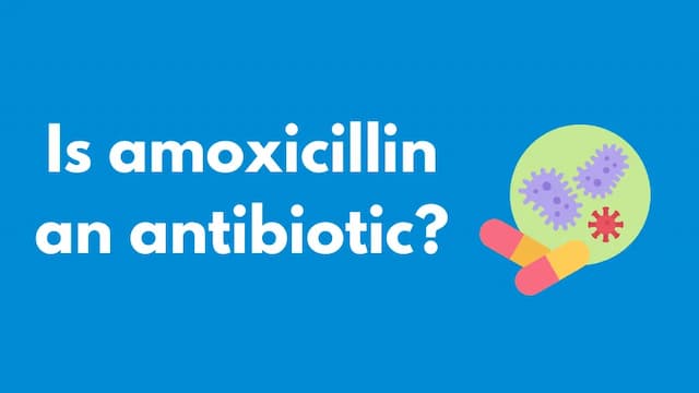 Is amoxicillin an antibiotic?