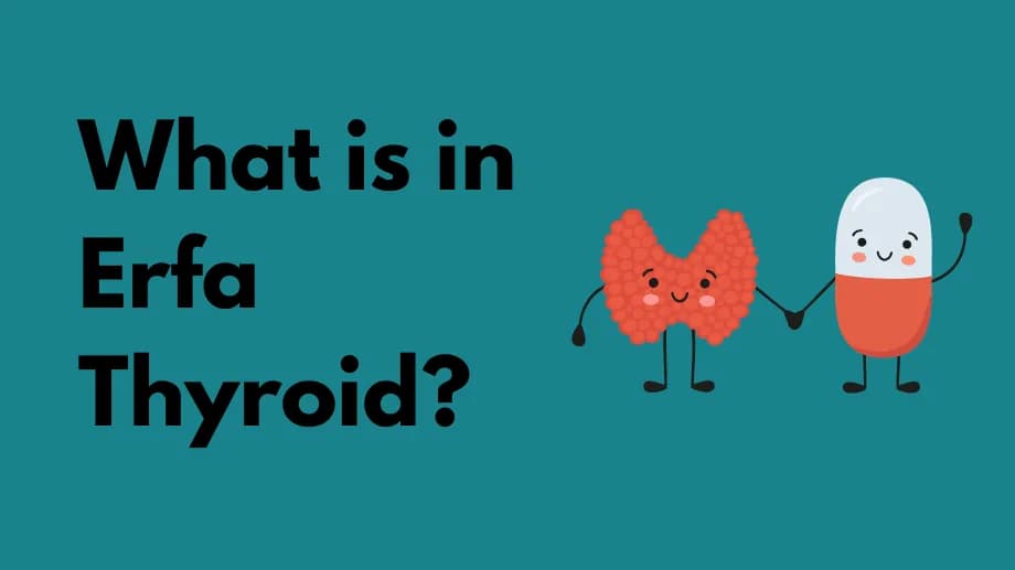 What is in erfa thyroid?