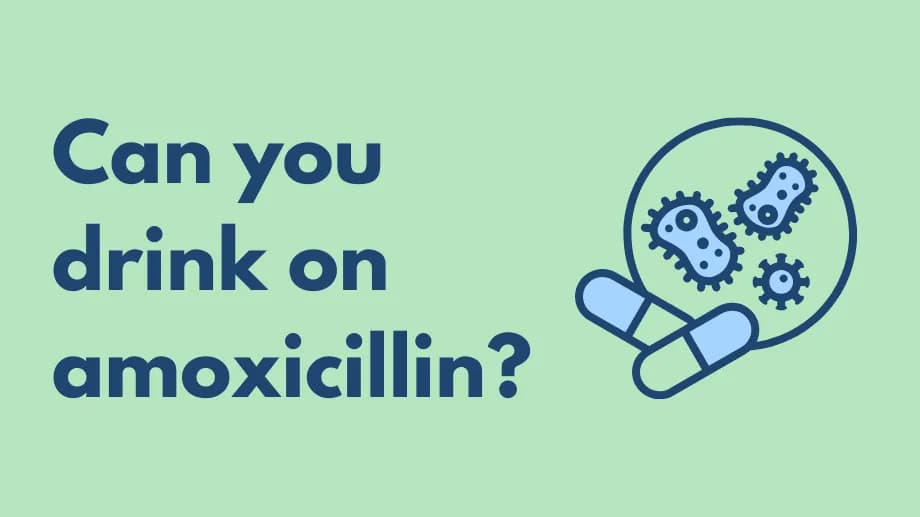 Can you drink on amoxicillin?