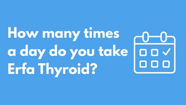 How many times a day do you take Erfa Thyroid?