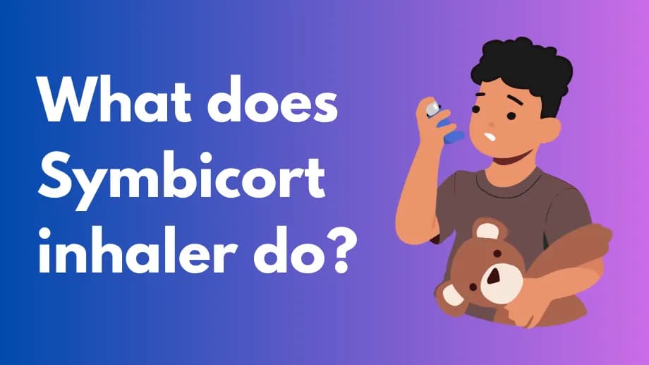 What does symbicort inhaler do?
