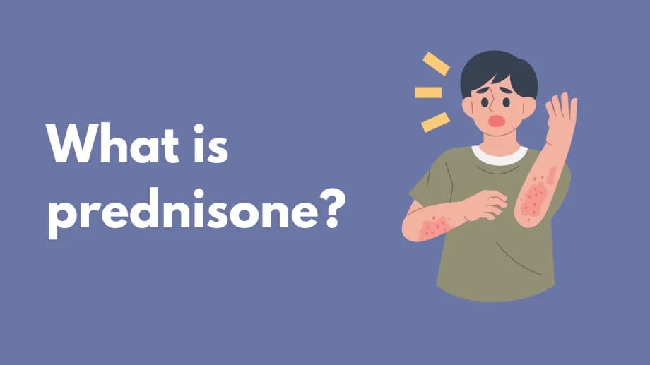 What is prednisone?
